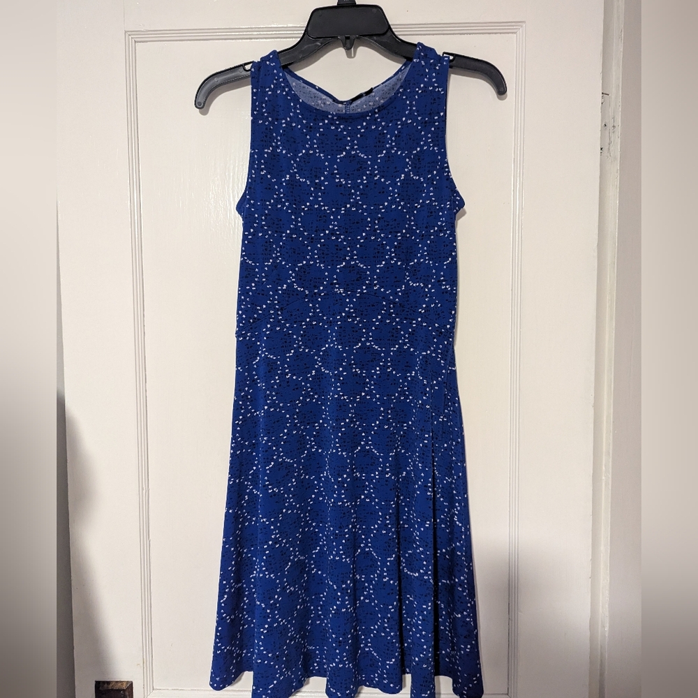 Blue Sleeveless Swing Dress